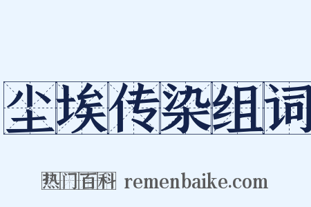 尘埃传染组词是什么意思的图片
